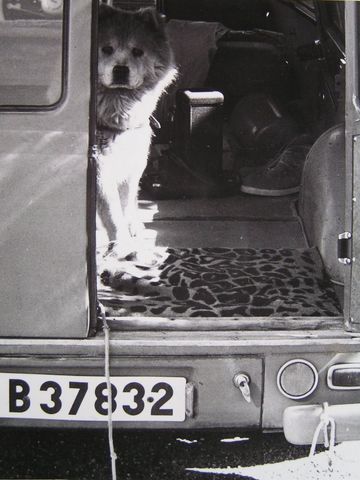 80r117-4